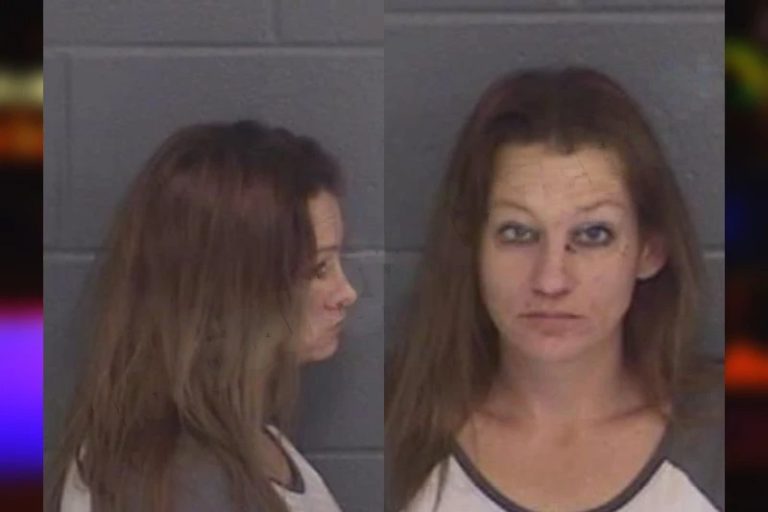 Julie Sanders mugshot – Barrow County , Georgia Julie Sanders