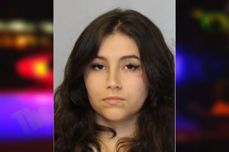 Julisian Whisnant Mugshots