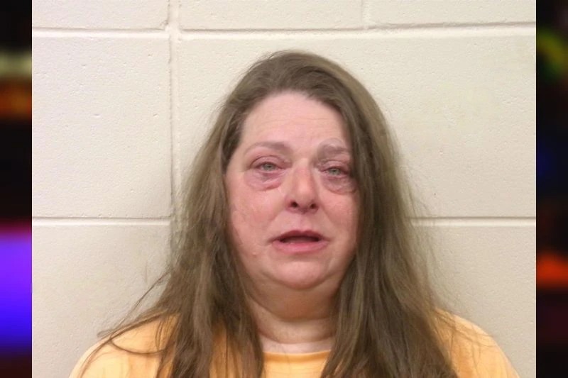 Kara Seelye mugshot – Bulloch County , Georgia Kara Seelye mugshot