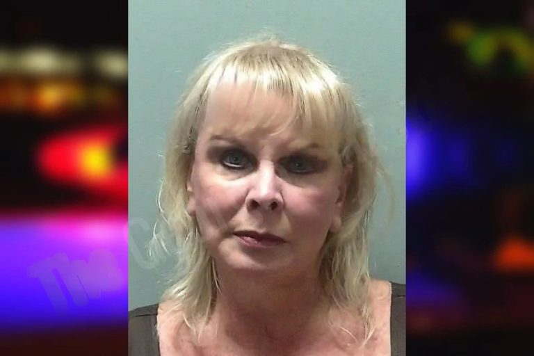 Karen Benitez mugshot – Towns County , Georgia Karen Benitez