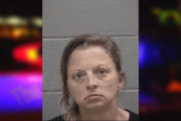 Karen Brady mugshot – Columbia County , Georgia Karen Brady
