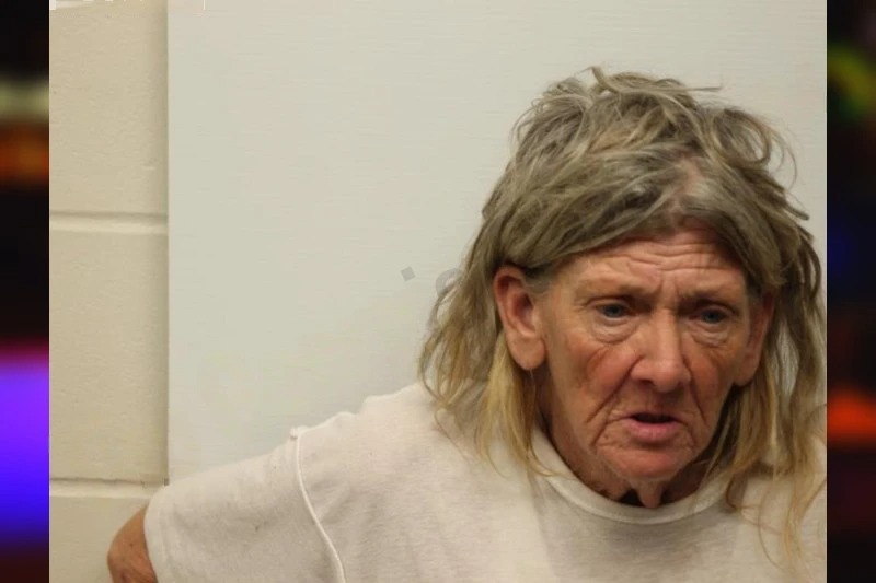 Karen Cooper Mugshots