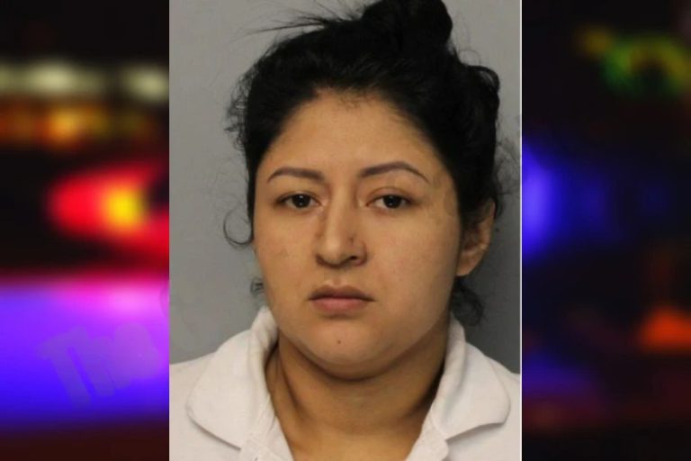 Karen Diaz mugshot – Hall County , Georgia Karen Diaz