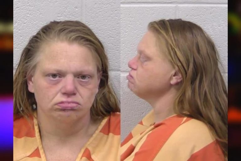 Kari Ryals mugshot – Paulding County , Georgia Kari Ryals