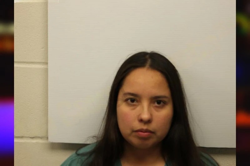 Karina Lopez-Arellano Mugshots