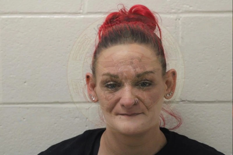 Kasey Williams Mugshots