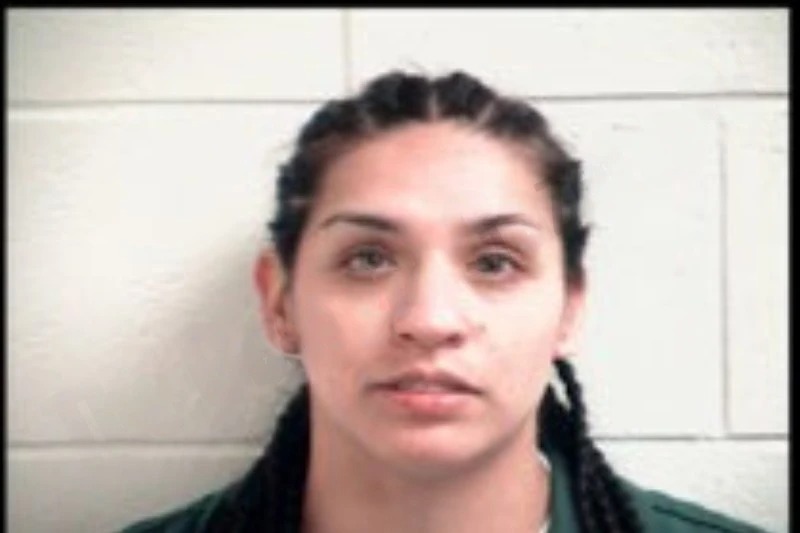 Katherinne Molina-Castro mugshot – Henry County , Georgia Katherinne Molina-Castro mugshot