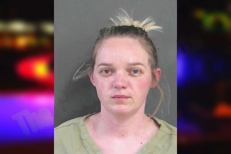 Katie Leight Mugshots