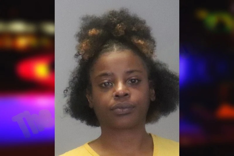 Katisha Williams mugshot