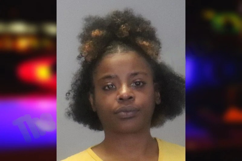 Katisha Williams mugshot