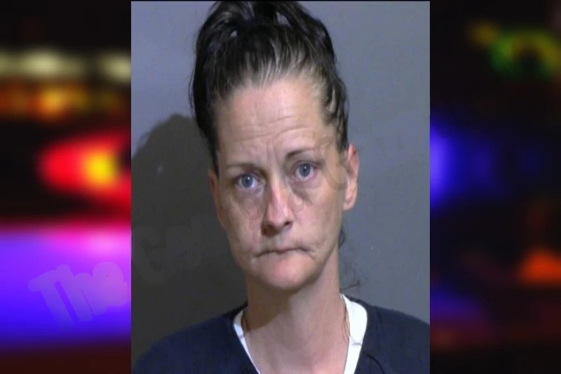 Katrina Kudron mugshot – Glynn County , Georgia Katrina Kudron mugshot