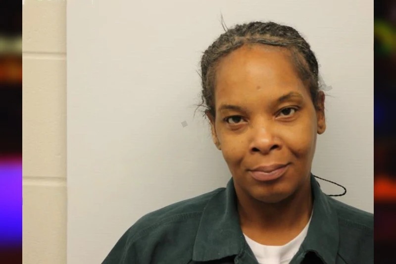 Katrina Wilkins Mugshots