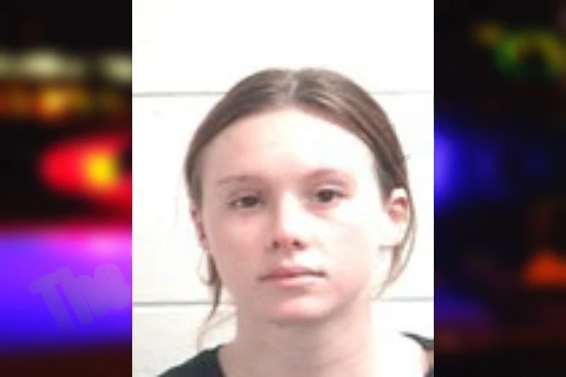 Kay Pafford mugshot – Henry County , Georgia Kay Pafford mugshot