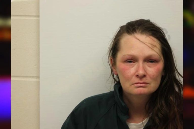 Kayla Follett mugshot – Lowndes County , Georgia Kayla Follett
