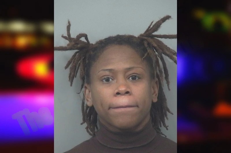 Kayla Hill mugshot – Gwinnett County , Georgia Kayla Hill mugshot