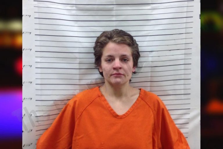 Kayla King mugshot – Pickens County , Georgia Kayla King