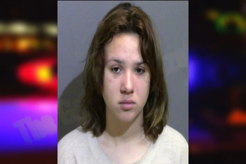 Kayla Sanchez mugshot