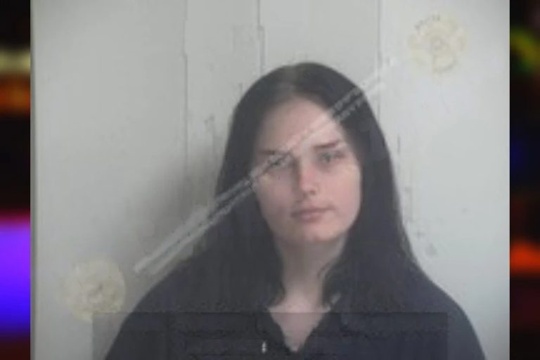 Kaylee Walker mugshot – Gwinnett County , Georgia Kaylee Walker