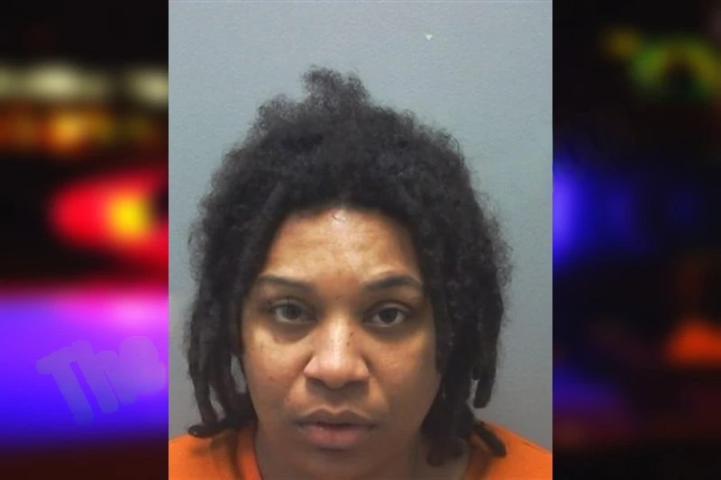 Kelley Verdun Mugshots