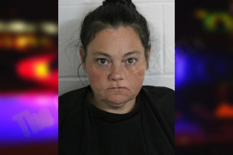 Kelly Burns mugshot – Floyd County , Georgia Kelly Burns mugshot