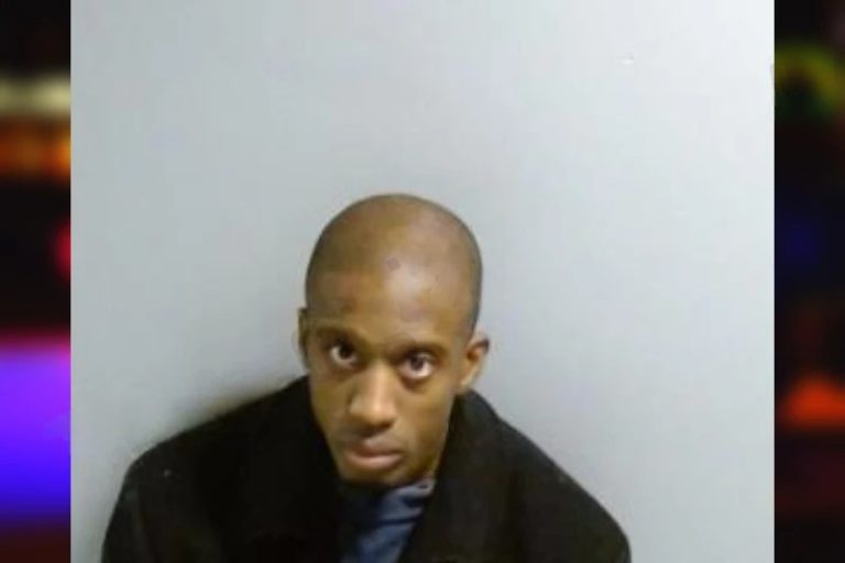 Kelly Johnstone mugshot – Fulton County , Georgia Kelly Johnstone