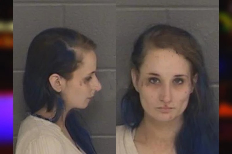 Kelsey Shulas Mugshots