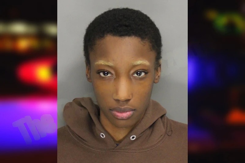 Kendall Rouser mugshot