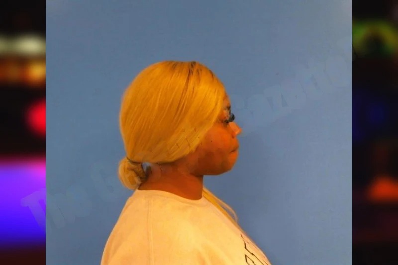 Kerneshia Bridges Mugshots