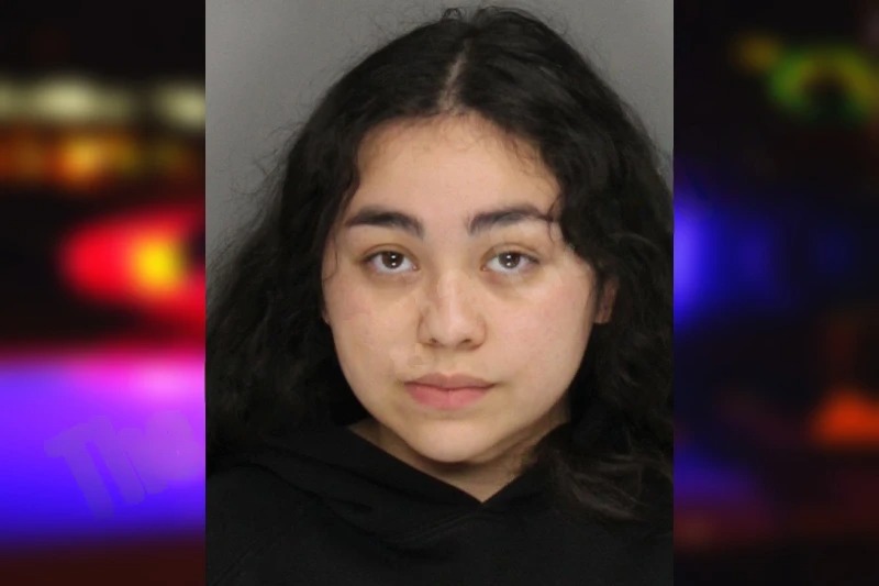 Keyla Aceituno mugshot – Cobb County , Georgia Keyla Aceituno mugshot