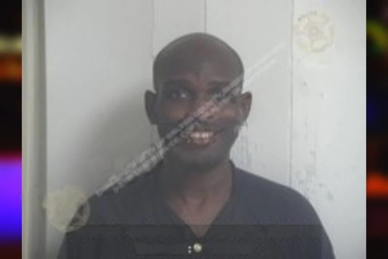 Keyron Cannon mugshot – Hall County , Georgia Keyron Cannon