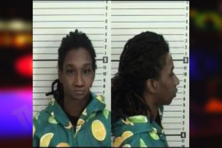 Kierra Denmark mugshot – Camden County , Georgia Kierra Denmark