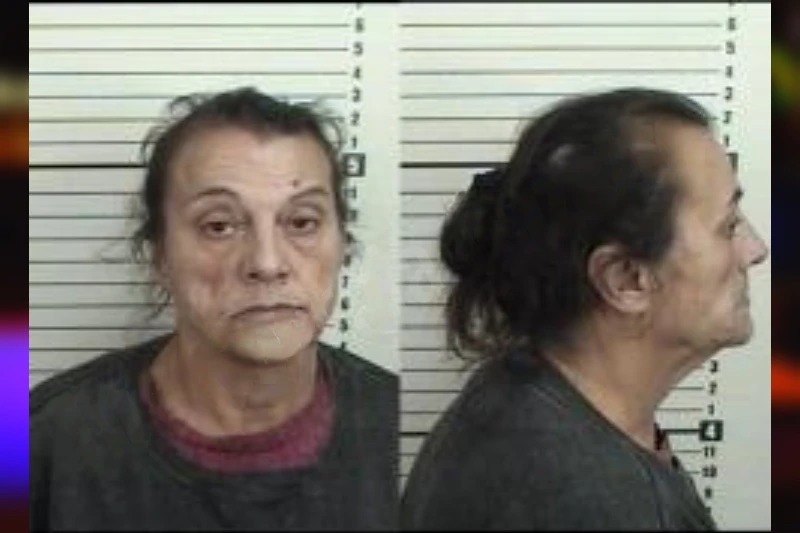Kimberly Fetzner mugshot – Camden County , Georgia Kimberly Fetzner mugshot
