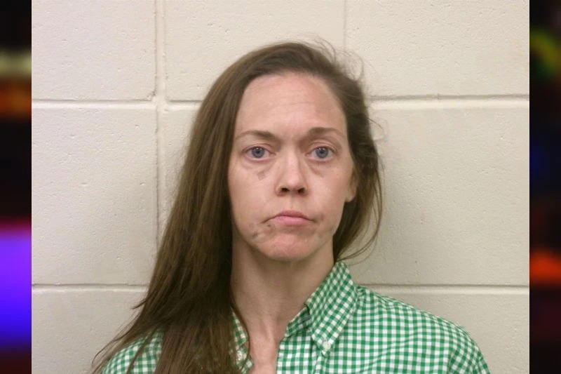 Kimberly Finch mugshot – Bulloch County , Georgia Kimberly Finch mugshot