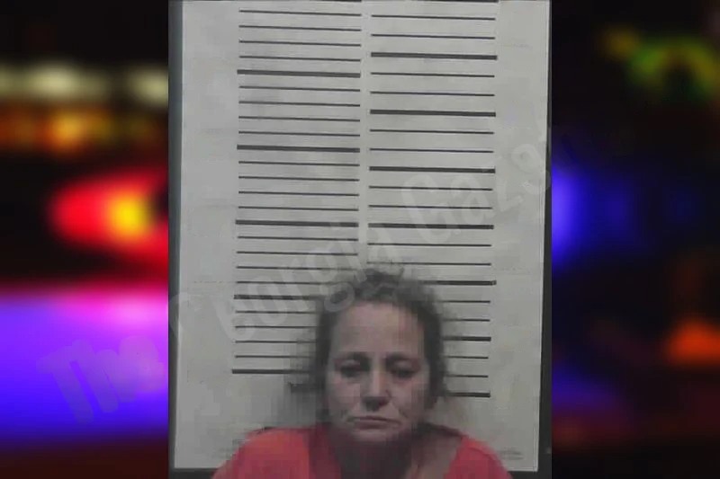 Kimberly Hayles Mugshots