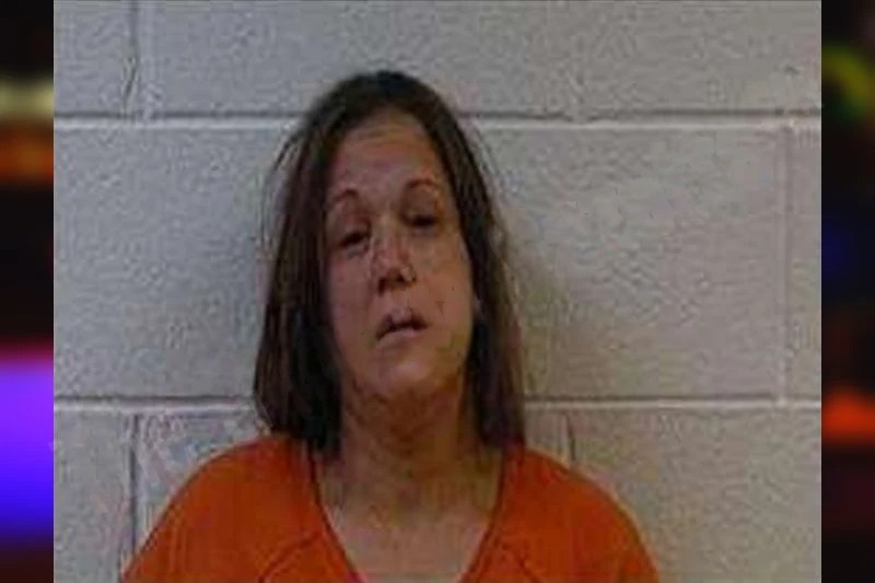 Kimberly McDaniel mugshot – Polk County , Georgia Kimberly McDaniel mugshot