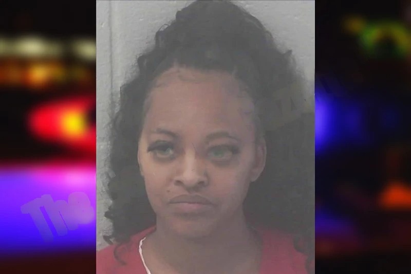 Kimberly Stanley mugshot – Newton County , Georgia Kimberly Stanley mugshot