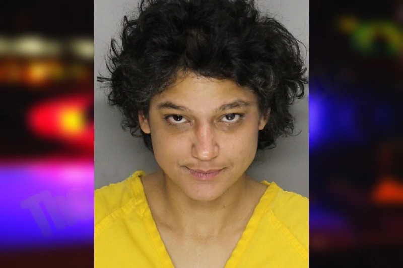 Kimia Imanian Mugshots