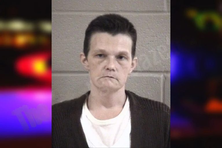 Kirstie Gillespie mugshot – Whitfield County , Georgia Kirstie Gillespie