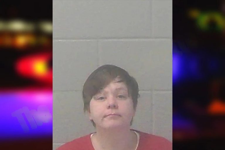 Kirstin Williams mugshot – Newton County , Georgia Kirstin Williams