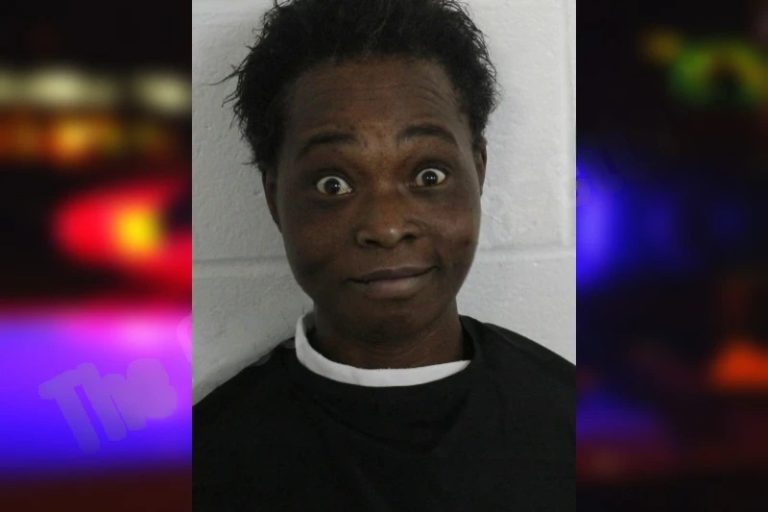 Kizie Donaldson mugshot – Floyd County , Georgia Kizie Donaldson