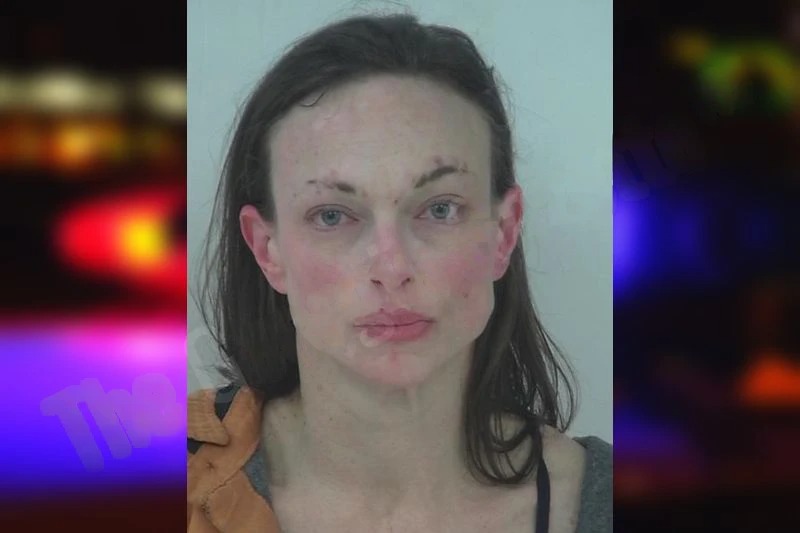 Krista Sullivan Mugshots