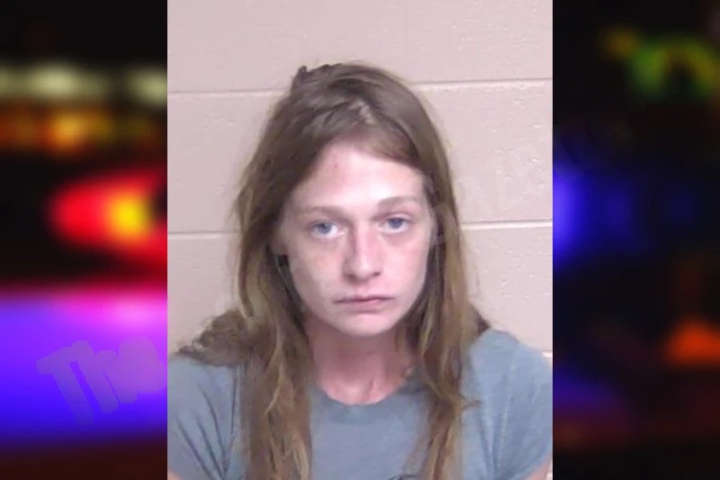 Kristen Brackett mugshot – Walker County , Georgia Kristen Brackett mugshot