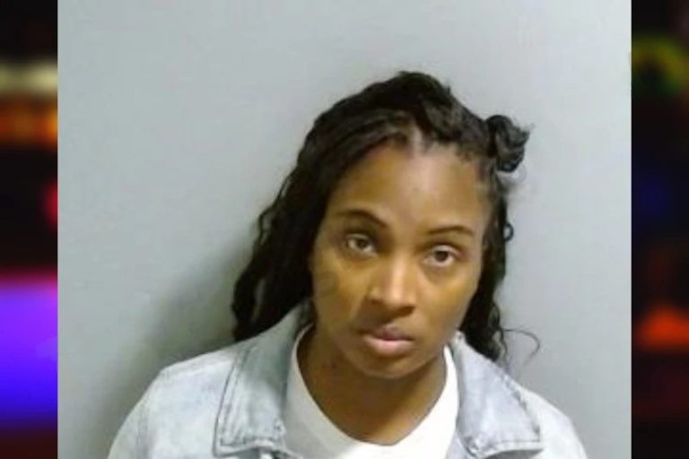Kristen Wilkinson mugshot – Fulton County , Georgia Kristen Wilkinson