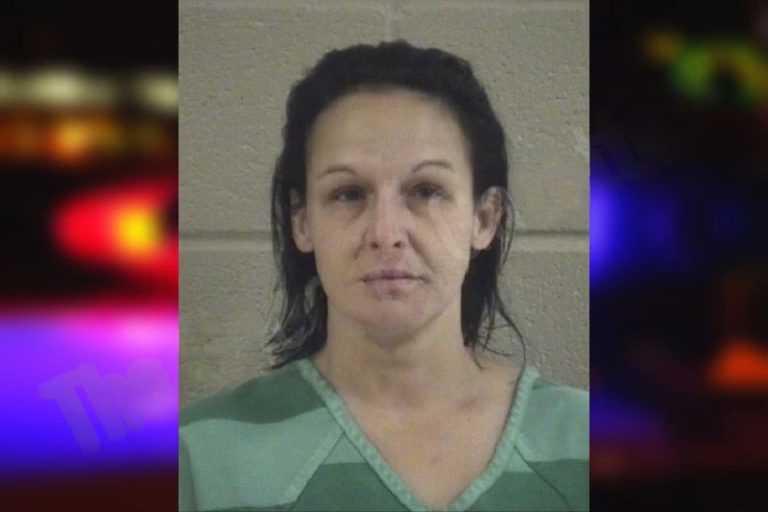 Kristina Willerson mugshot – Whitfield County , Georgia Kristina Willerson