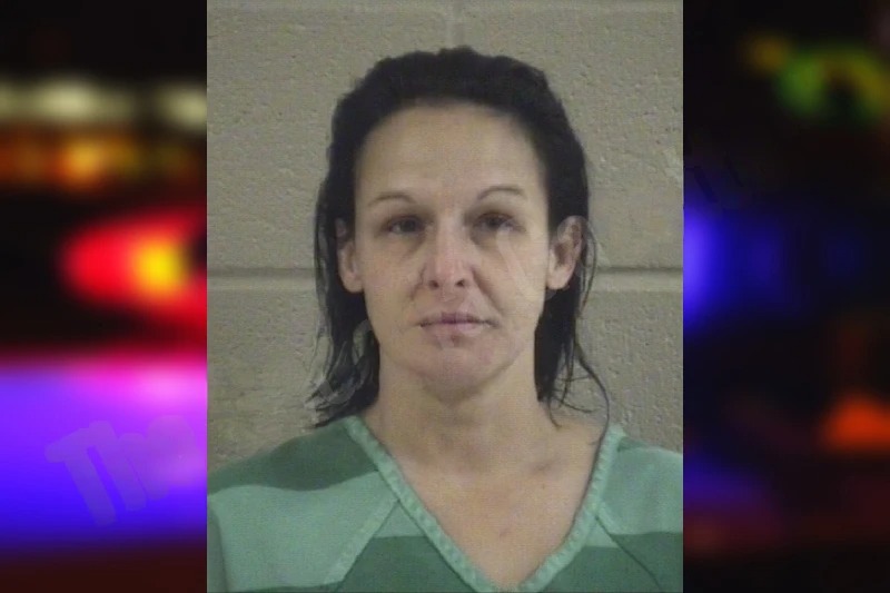 Kristina Willerson mugshot – Whitfield County , Georgia Kristina Willerson mugshot