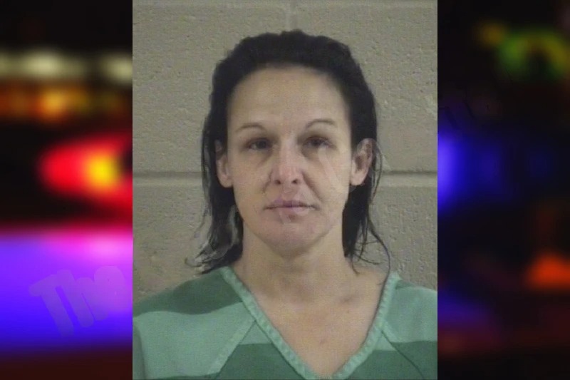 Kristina Willerson mugshot – Whitfield County , Georgia Kristina Willerson mugshot