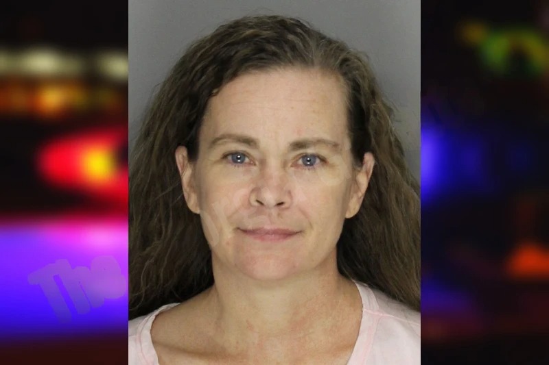 Krystal Posey mugshot – Cobb County , Georgia Krystal Posey mugshot