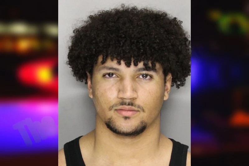 Kyle Pace mugshot – Cobb County , Georgia Kyle Pace mugshot