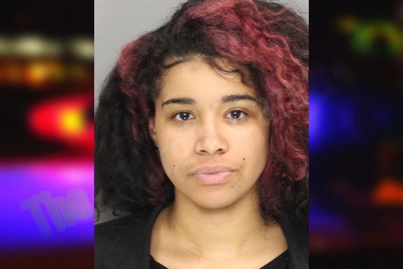 Lacey Barfield Mugshots