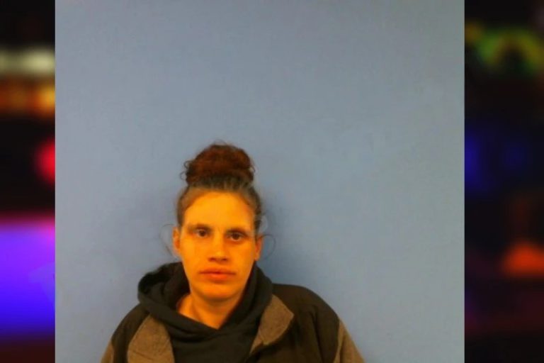 Lacey Miller mugshot – Troup County , Georgia Lacey Miller